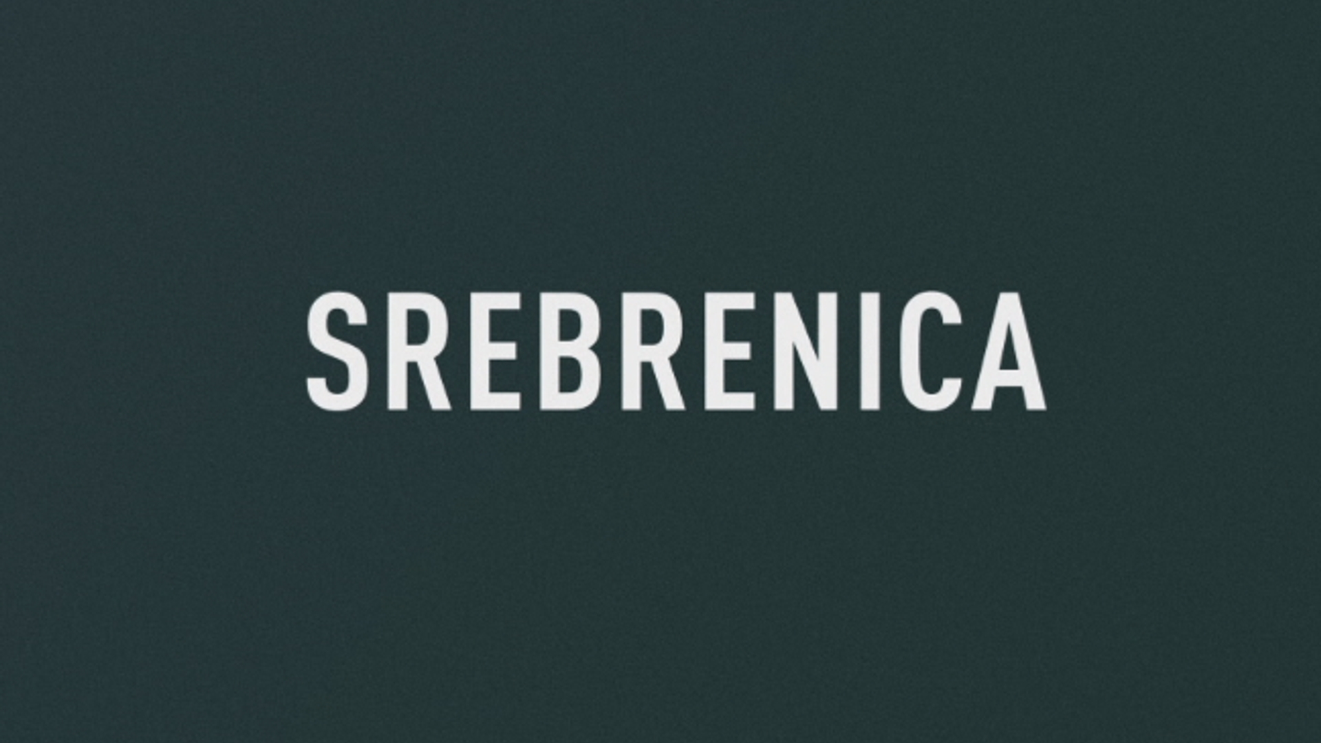 De Affaire _ Srebrenica