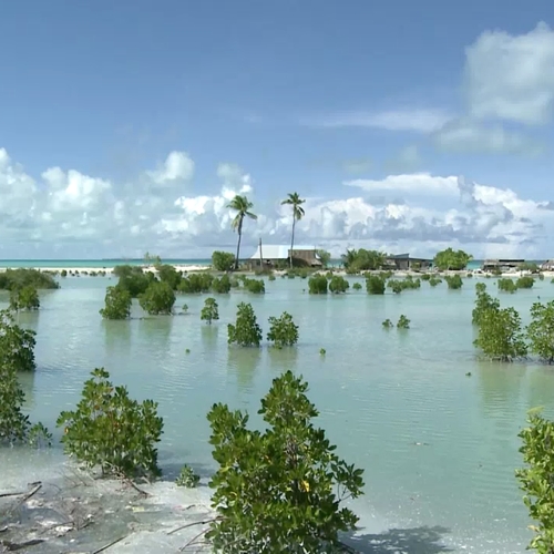 Afbeelding van Gevolgen zeespiegelstijging Kiribati